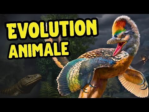 The step that changed the evolution of animals