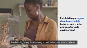 Snake Habitat Cleaning Schedule