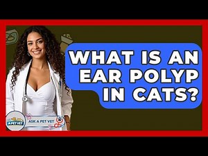 What Is An Ear Polyp In Cats? - Ask A Pet Vet