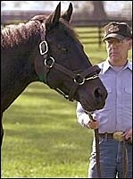 Seattle Slew Returning to Breeding Shed