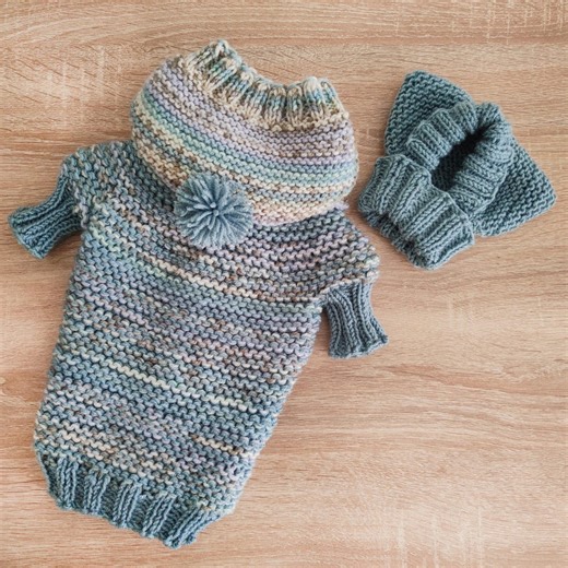 Hand Knit Dog Sweater for Chihuahua | Magnetic Closure, Detachable Hood (XS) - Etsy UK