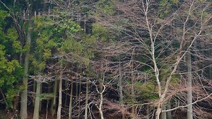 77K views · 2.3K reactions | A family of three went to camp in the car | Car camping | ASMR | Car Camping | Facebook