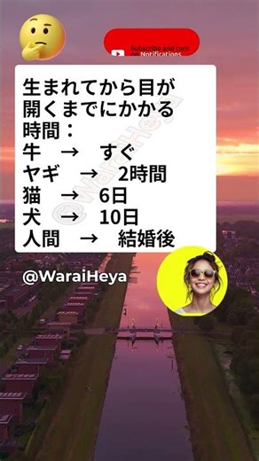 👁️ 目が開くのはいつ？ #面白い #爆笑 #ネタ #腹筋崩壊 #ミーム #日本