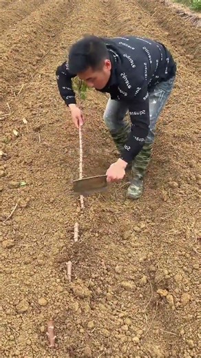 Overcoming Challenges: The Real Struggles of Farmers