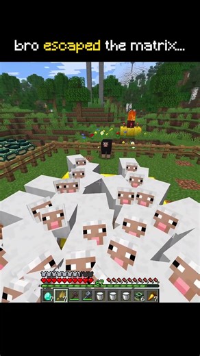 Minecraft Sheep Escaped the Matrix 💀