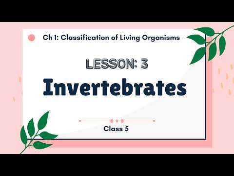 Class 5 – Unit 1 Lesson 3: Invertebrates