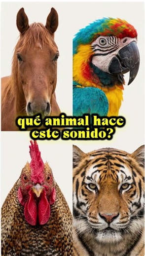 Animales para Niños: Sonidos de Animales de la Granja 🐮🐷 #sonidosdeanimales #animalesparaniños