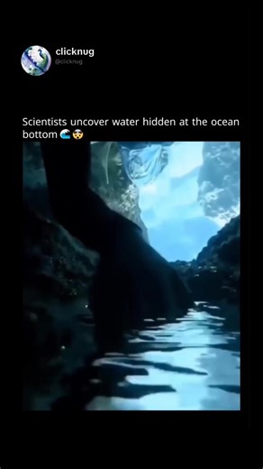 Scientists uncover water hidden at the ocean bottom in a groundbreaking deep-sea discovery. Revealing the mysteries lurking in Earth's deepest unexplored regions. #OceanDiscovery #DeepSea #MarineScience #ScientificBreakthrough #UnderwaterExploration