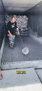 Impressive Fish Unloading Process In Seconds #Fishunloading #Seatoshore #Efficientfishing | Deep Dive News