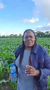 6.2K views · 381 reactions | CROP DIVERSIFICATION: offers several...