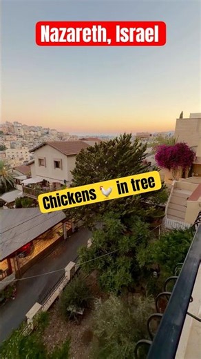 Are Israeli chicken different?
