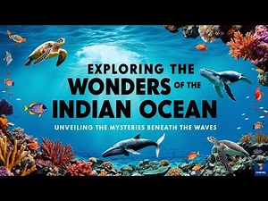 "Exploring the Majestic Wonders of the Indian Ocean: Marine Life, Coral Reefs, and More"