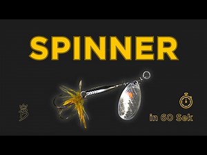 Spinner angeln – Funktion, Führung & Zielfische erklärt 🎣
