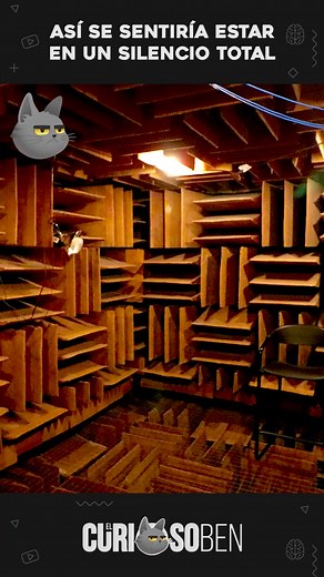 Experimenta el Silencio Total en un Cuarto