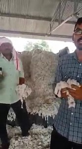 MSP 🙏🏽 . #sikhbeard #kissanektajindabad #kisaanmajdoorektazindabad #farmer #farmerprotest | SIKH BEARD