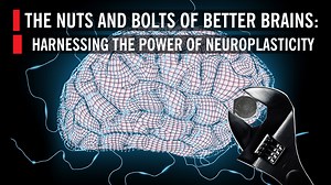 Harnessing the Power of Neuroplasticity: The Nuts and Bolts of Better Brains