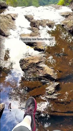 Twin Falls Circuit in Springbrook National Park #goldcoast #nature #hiking #shorts #waterfall