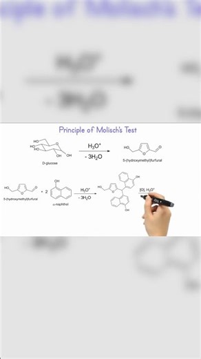 Violet Color in Molisch Test Explained!