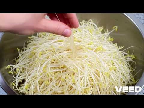 🌱 Home Grown Bean Sprouts🌱 Fast, Easy, Healthy, Cheap alternative to store Bought!