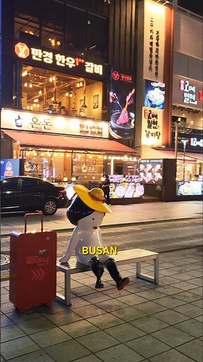 A Night in Busan SOUTH KOREA 🇰🇷