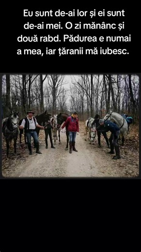 Videoclipuri postate de Cătălin (@_catalin_011) cu Viata haiduceasca - HAIDUCII lui 7 cai & Florin VOS