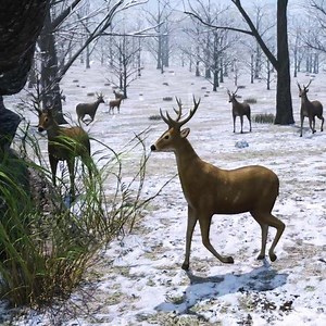 🎯🎯Only 99.6% of people can shoot the target. | Archery Elite