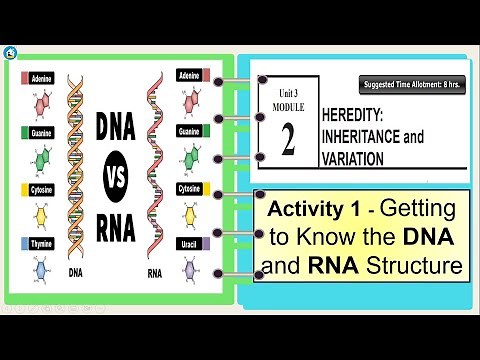 Science 10 Quarter 3 Module 2 -Activity 1 -Getting to Know the DNA and RNA Structures.