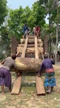 How to lift a large tree trunk into a car