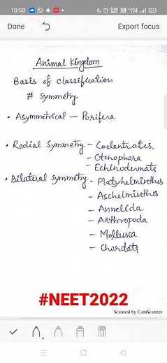 Symmetry in Animal Kingdom | Symmetry | #symmetry | Asymmetry | Radial Symmetry | Bilateral Symmetry