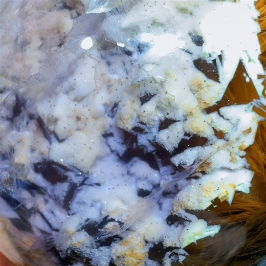 25 reactions | Purple fluorite with beautiful clouds pattern and shiny pyrites | Rock's Rock Store | Facebook