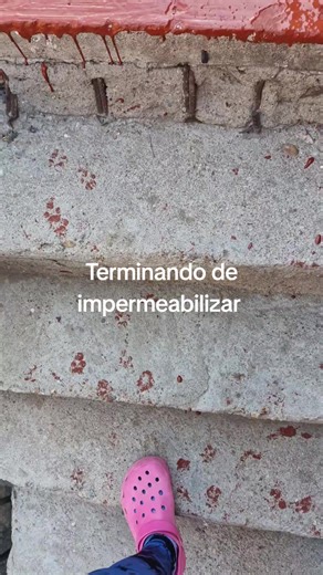 Impermeabilizando y el desastre con perros