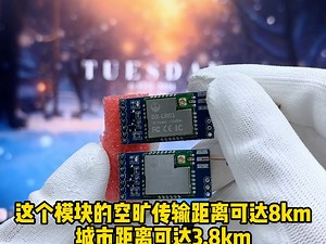 【例程】51单片机通过Lora模块远距离控制电机例程，大夏龙雀lora模块LR01