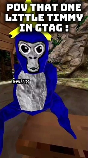 Pov That One Little Timmy In Gorilla Tag