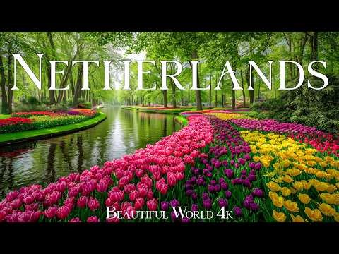 Netherlands 4K | Endless Tulip Fields of Keukenhof, Windmills of Kinderdijk & Golden Spring Sunsets