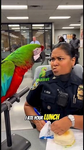Parrot Roasts Cop So Hard He Lost His Job 😂 #funny #parrot #roast