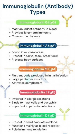 Immunoglobulin (Antibody) Types #Immunoglobulin #Antibodies#IgG #IgA #IgM #IgE #IgD#Immunology#viral
