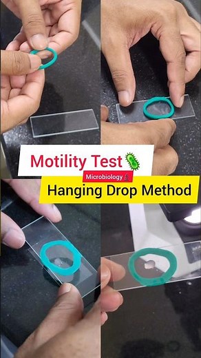 Motility Test 🦠 - Hanging Drop Method - MBBS 2nd year practical #shorts #microbiology #bacteria