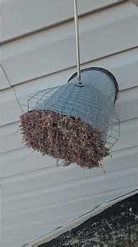 Dust collection problems