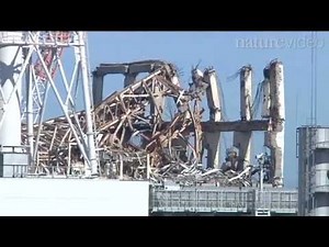 A year at Fukushima