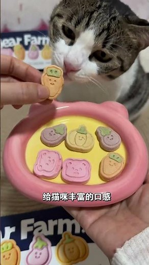 Crunchy Cat Tooth Cleaning Treat - Freeze-Dried, Nutritious & Delicious