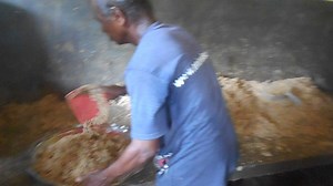 3.8K views · 849 reactions | Feeding over 1800 animals (our rescues...