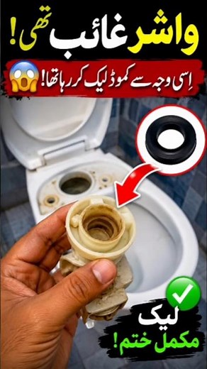 Toilet Leak Repair in 5 Minutes | Fix a Leaking Commode Like a Pro | Plumbing Tips #perfectplumbing