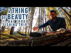 11-Day Wilderness Trout Fishing Trip | Solo Camping & Canoeing