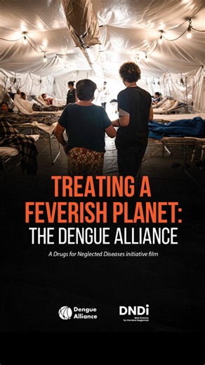 Treating a feverish planet: The Dengue Alliance