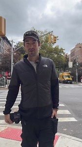 1M views · 10K reactions | Leeloo, Greyhound (10 y/o), Court & First...