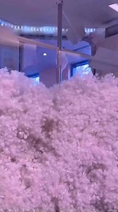 91K views · 445 reactions | Pawlette...but make her pink and fluffy! Pink Fluff Pawlette is available in store and online! Links in comments. | Build-A-Bear Workshop | Facebook