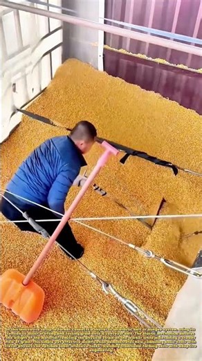 Smart Farming Hack: How Elastic Belt Systems Make Grain Loading Effortless