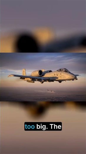 How Did This 'Ugly' Plane Become a Legend?