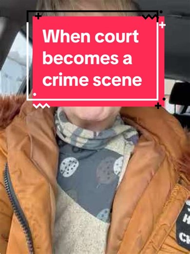 Turning the Court Into a Crime Scene: Lies to Win Cases Must Be Recognized as Crimes#coercivecontrol #domesticabuseawareness #parentalalienation #familycourt#