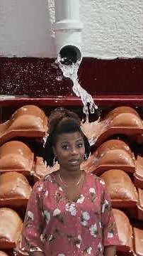 Landlord Ignored Leak? Ceiling Collapse Lawsuit Explained